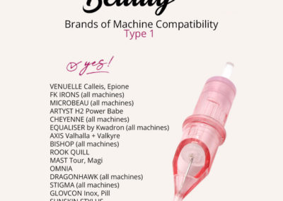 YES-List-Type1-Omega-Venuelle